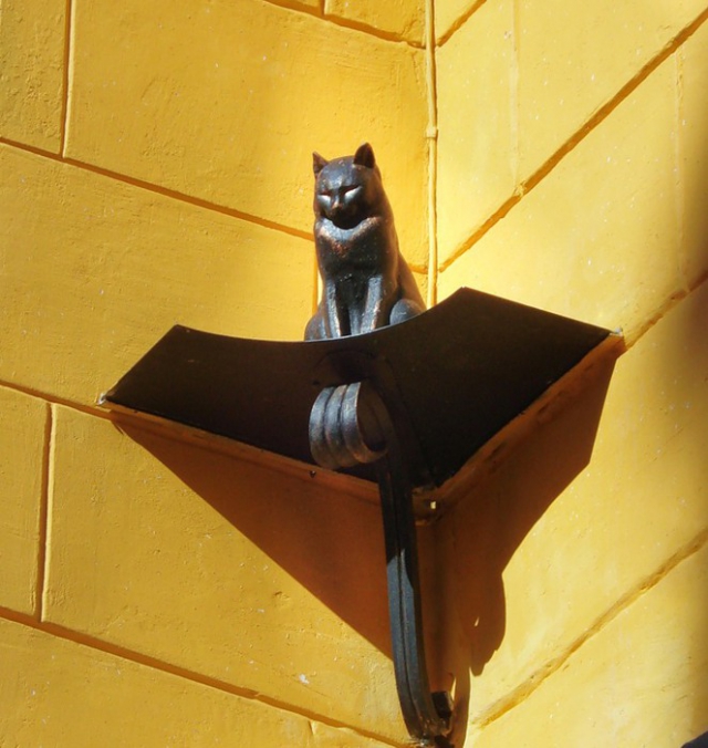 Памятник кошкам 